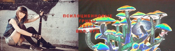 MESCALINE Майский