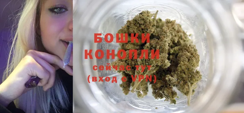 Каннабис OG Kush  Касли 